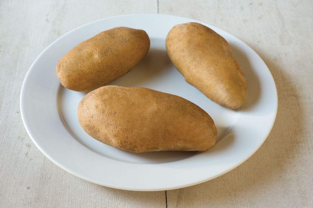 Caribou Russet – Seed Potatoes